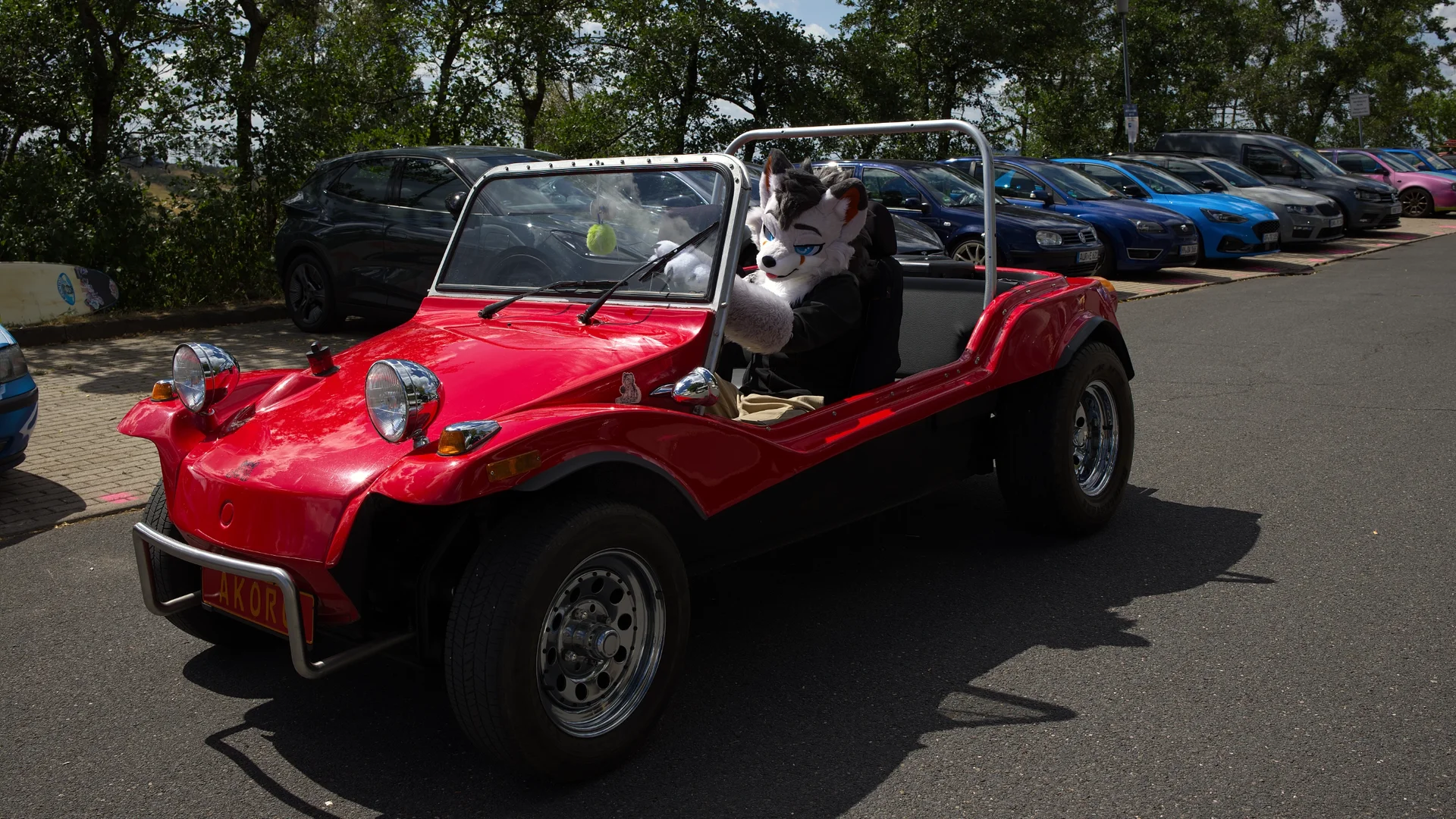 Furry Taxis